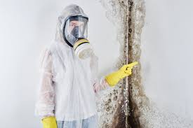 Best Attic Mold Removal  in Glenpool, OK